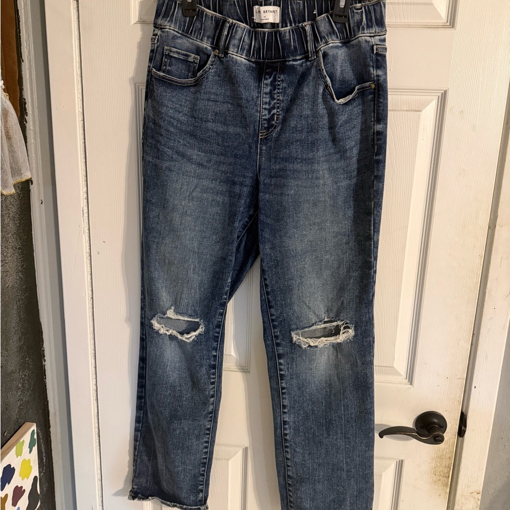 Lane Bryant Dark Blue Denim Pants